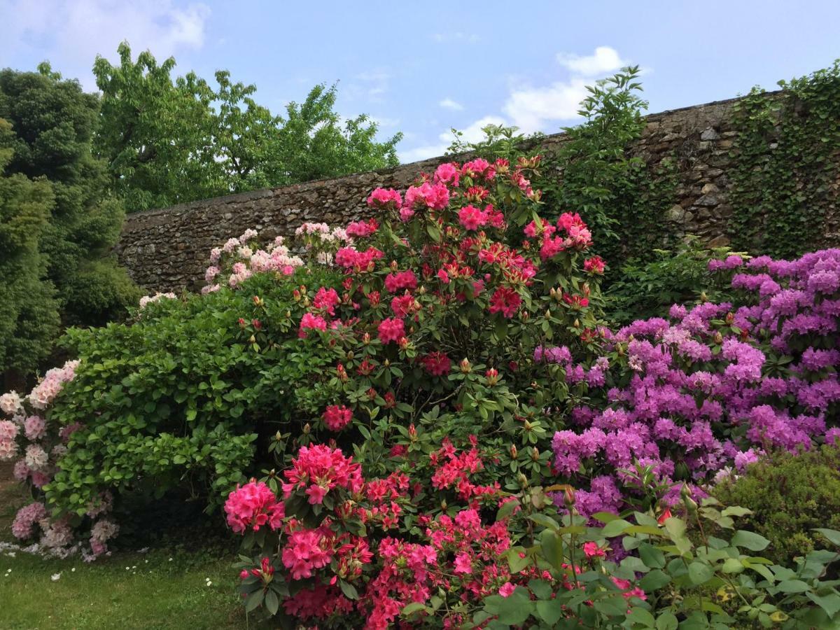 Domaine Des Trois Chateaux Moisenay Eksteriør bilde